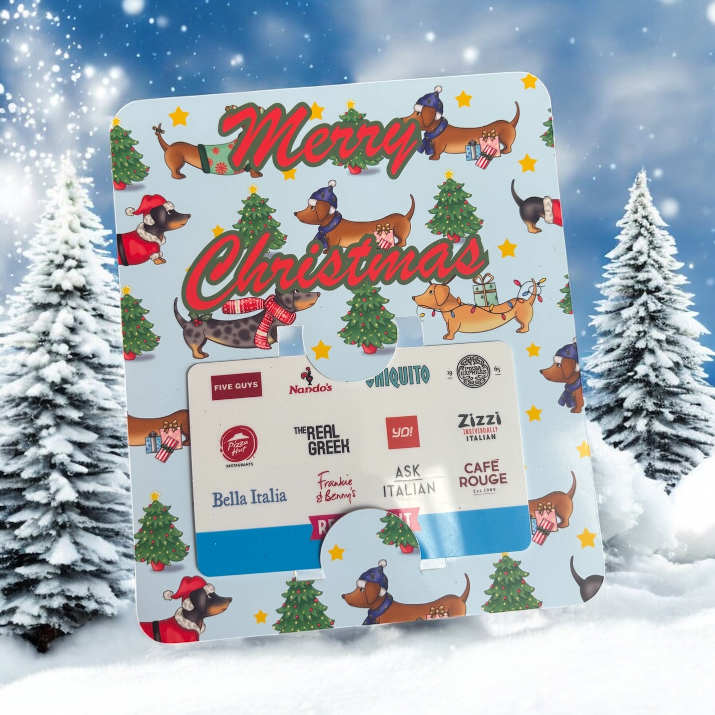 Scratch Card/Gift Card Holder